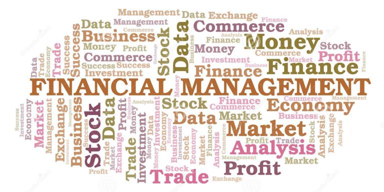 FINANCIAL MANAGEMENT ASPECTS